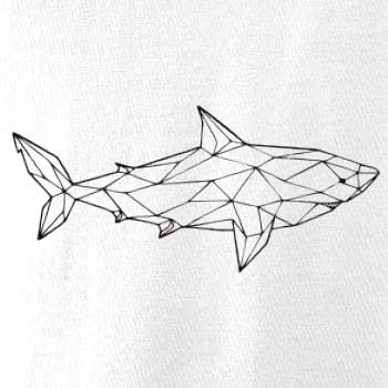 Geometrie - žralok tělo
