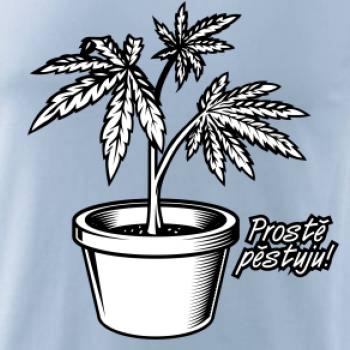 Konopi prostě pěstuju Konopi prostě pěstuju