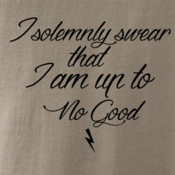 I solemnly swear that I'm up to no good