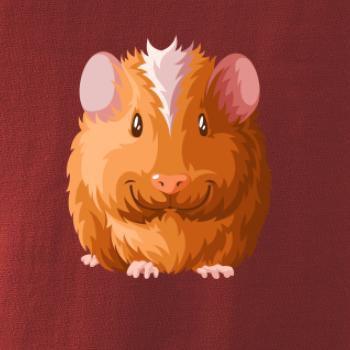 Morče - kreslené zepředu