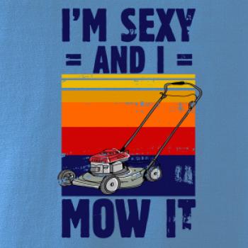I'm sexy and i mow it