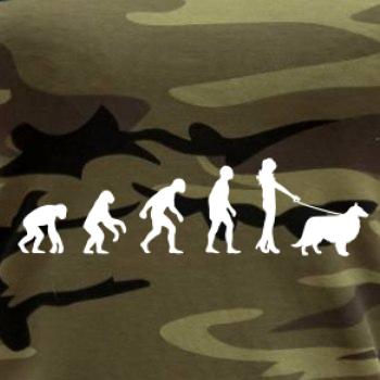 Evoluce pes Sheltie (muž-žena)