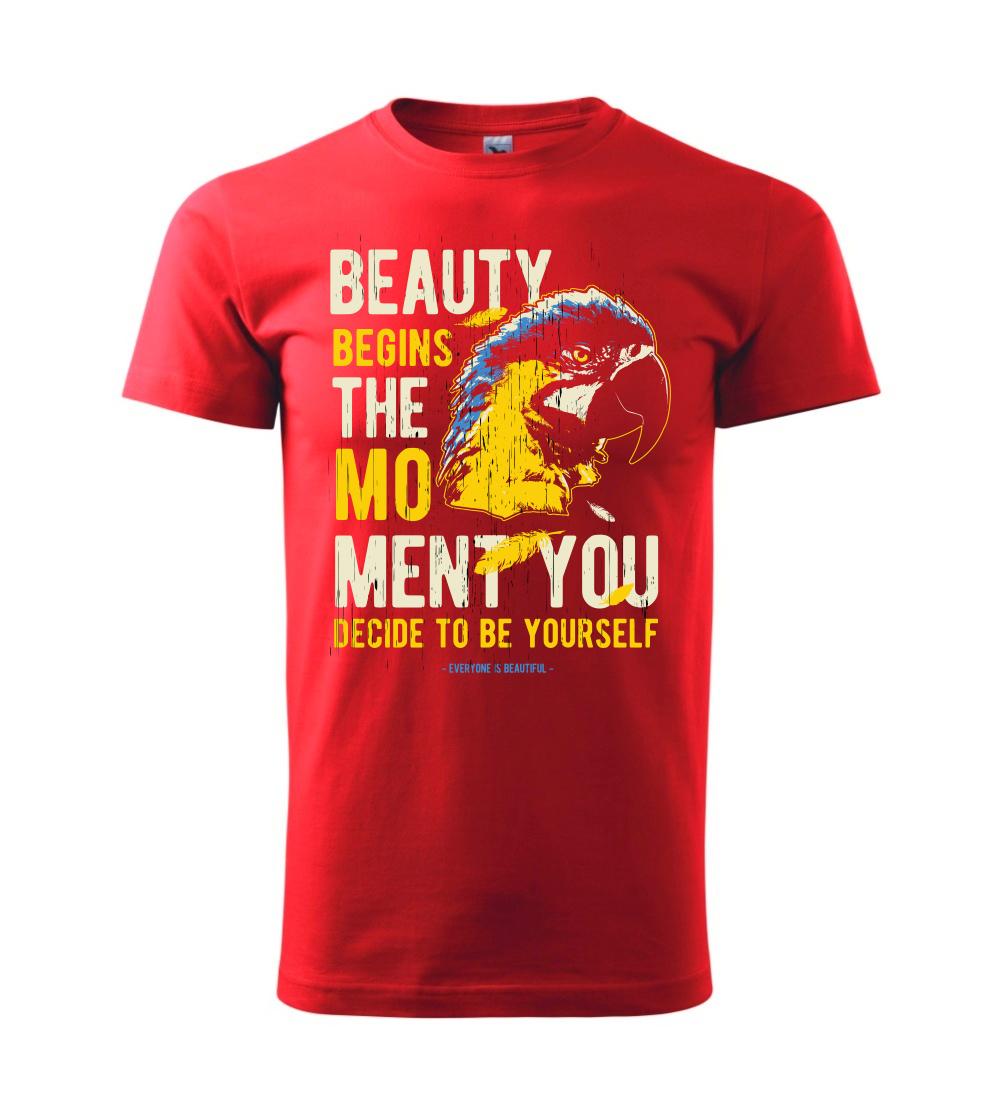 Bird macaw Bird macaw