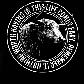 Buffalo worth Buffalo worth