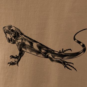 Tužkou kreslený Leguán 