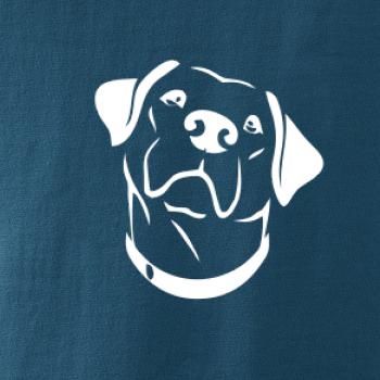 Labrador obrys