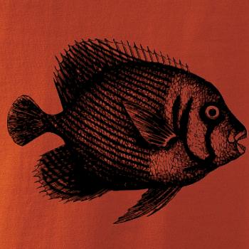 Mořská ryba kreslená