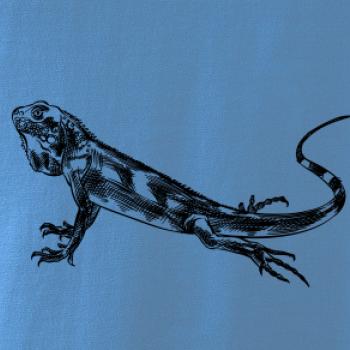 Tužkou kreslený Leguán 