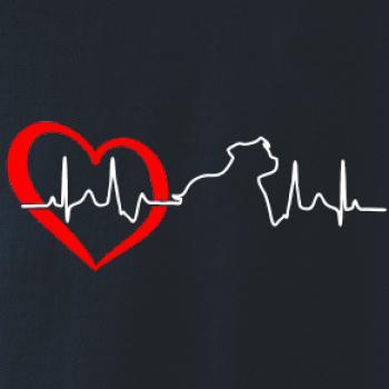 Stafordšírsky bulteriér EKG Stafordšírsky bulteriér EKG