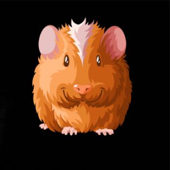 Morče - kreslené zepředu