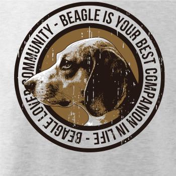 Dog beagle Dog beagle