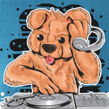 DJ Teddy