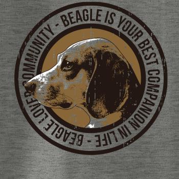 Dog beagle