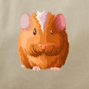 Morče - kreslené zepředu