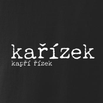 Čeština 2.0 - kařízek