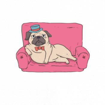 Mops na gauči
