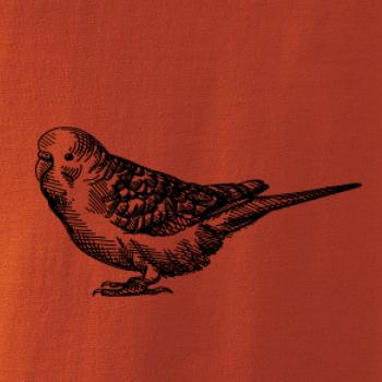 Tužkou kreslený Papoušek