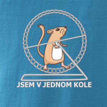 Jsem v jednom kole