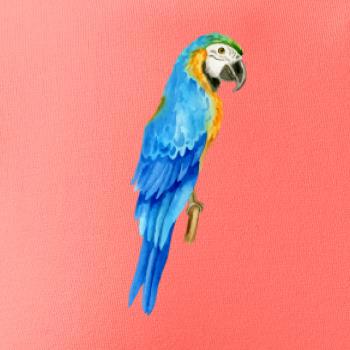 Ara modrá kreslená