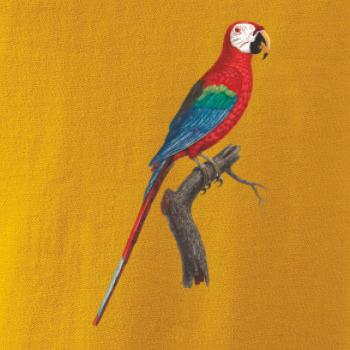 Papoušek červený na větvi