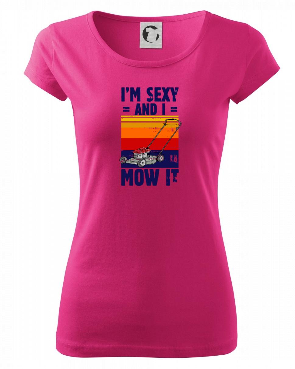 I'm sexy and i mow it