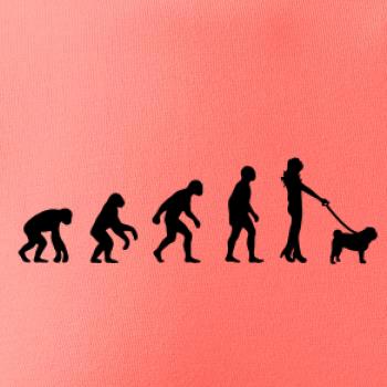 Evoluce pes Mops (muž-žena)