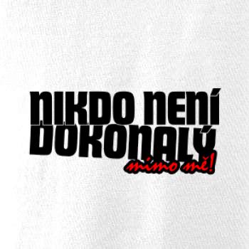 Nikdo není dokonalý mimo mě