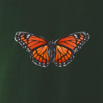 Motýl Monarcha stěhovavý