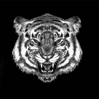 Tygr trošku naštvaný