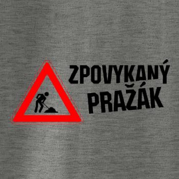Zpovykaný Pražák - práce na silnici