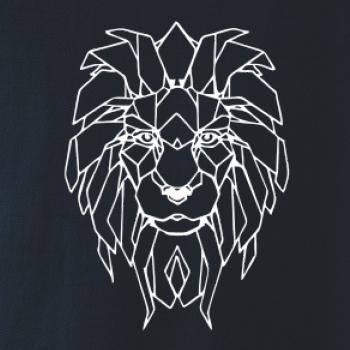 Geometrie - lev tvář