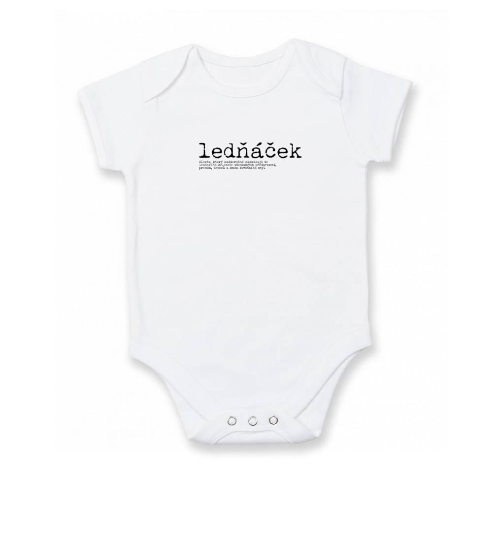 Čeština 2.0 - Ledňáček