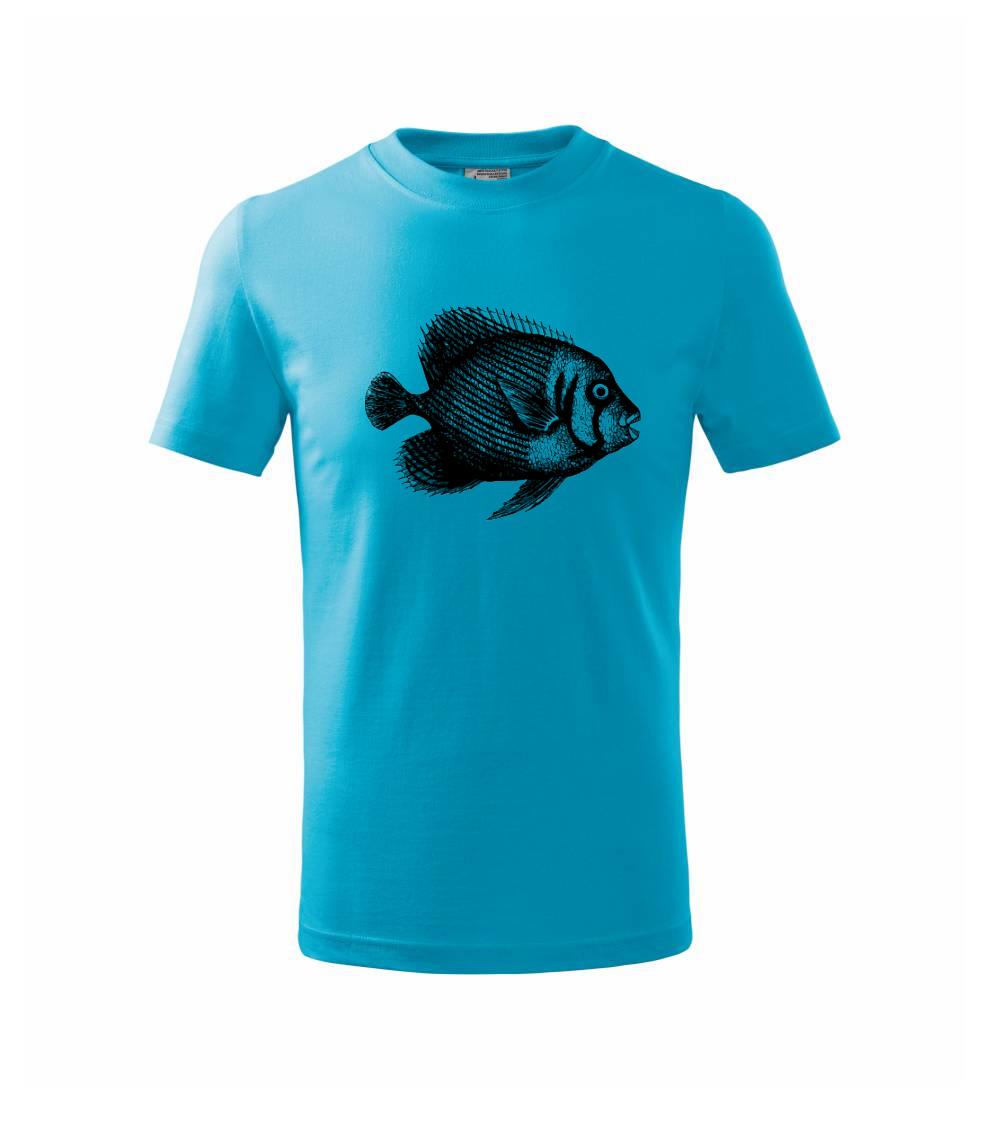 Mořská ryba kreslená