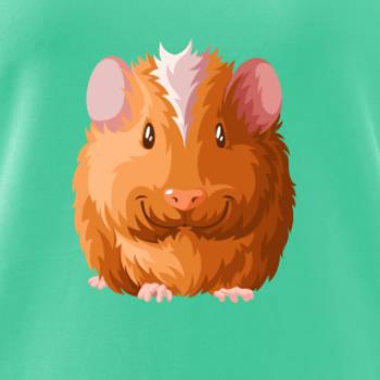 Morče - kreslené zepředu