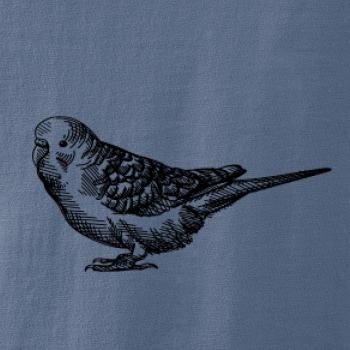 Tužkou kreslený Papoušek