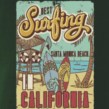 Santa Monica Beach Surf