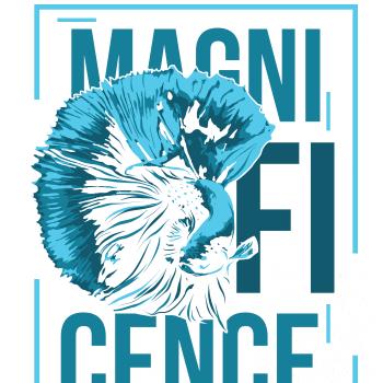 Fish magnif