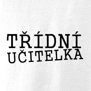 Třídní učitelka