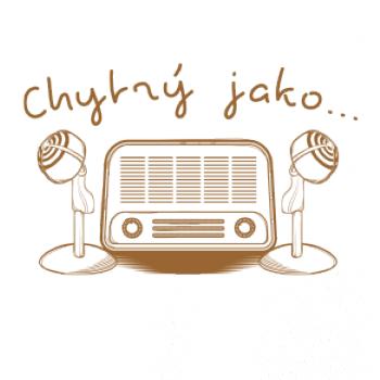 Chytrý jako rádio