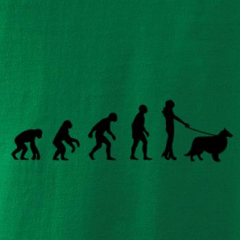 Evoluce pes Sheltie (muž-žena)