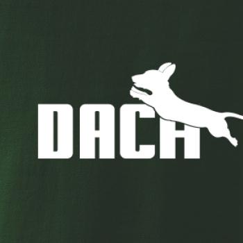 Jezevčík Dach Jezevčík Dach