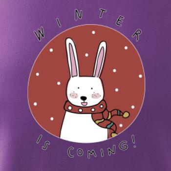 Winter is coming zajíc