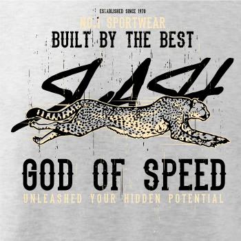 Cheetah slash