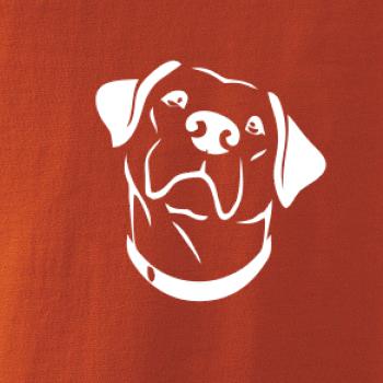 Labrador obrys