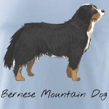 Bernese mountain dog kreslený