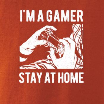I'm A Gamer