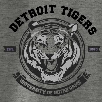 Tiger detroit