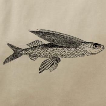 Flying fish