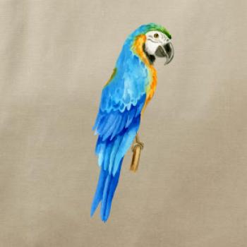 Ara modrá kreslená