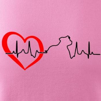 Stafordšírsky bulteriér EKG Stafordšírsky bulteriér EKG